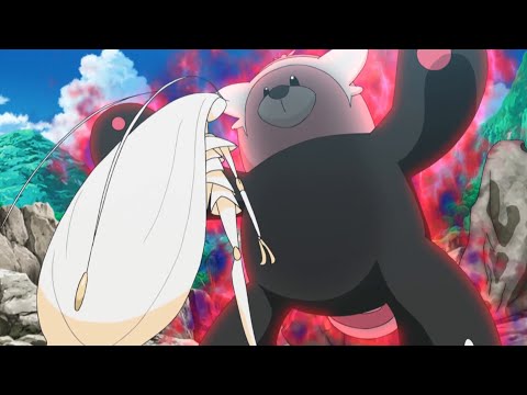 Bewear vs. Pheromosa | Pok&eacute;mon the Series: Sun &amp; Moon&mdash;Ultra Legends | Official Clip