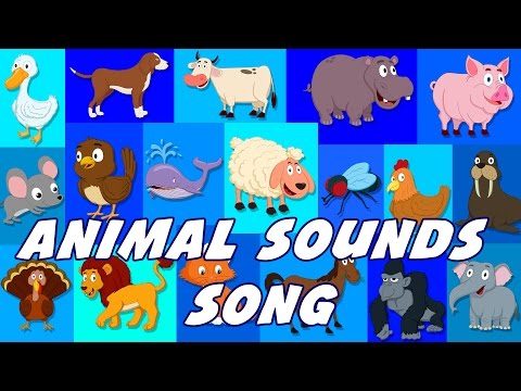 Animal Sounds Song | Sounds That Animals Make | Nursery Rhymes