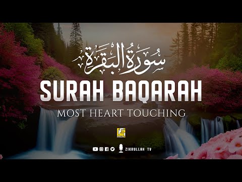 Surah Al Baqarah سورة البقره | THIS WILL TOUCH YOUR HEART إن شاء الله | Zikrullah TV