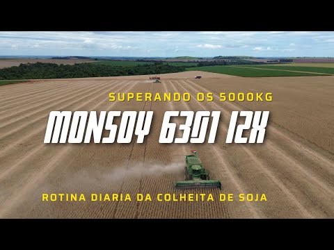 SOJA DE 5000 KG/HA    CULTIVAR 6301 I2X   DA RO&Ccedil;A AT&Eacute; AO SILO.