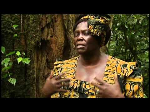 Wangari in the indigenous Aberdare Forest