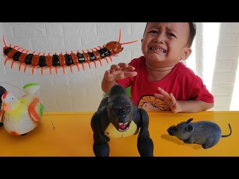 Mainan Gorilla, Tikus, Ayam Betina &amp; Kelabang - Yahh Gavin Nangis Lagi...