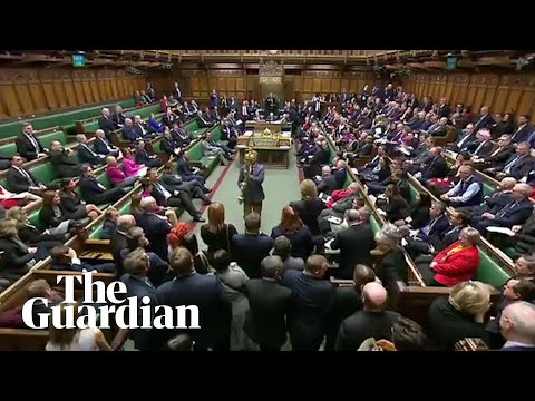 'Put it back!': Labour MP grabs the mace during parliament