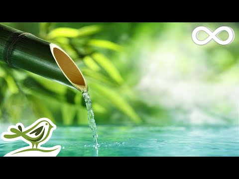 Relaxing Music &amp; Water Sounds: Calm Piano Music, Sleep Music, Peaceful Music ★143