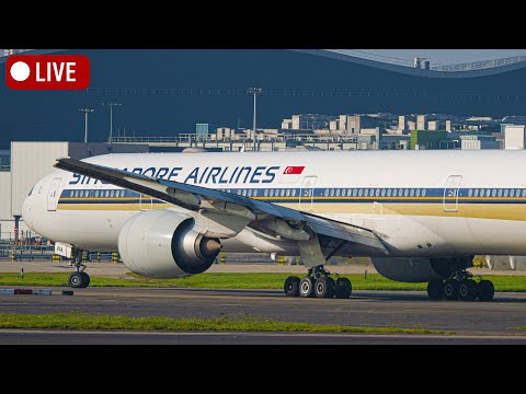 🔴LIVE - London Heathrow - Close-Up LANDING Actions 