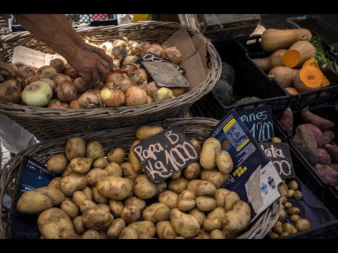 Argentines keen for new President Milei's economic plan to solve broken economy