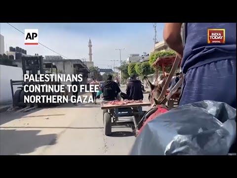 Palestinians Continue To Flee Northern Gaza | Israel-Hamas War