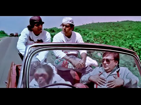 ये बन्दर तो प्लेन भी चला लेता है भाई - कादर खान गोविंदा डबल धमाल कॉमेडी - Kader Khan Comedy