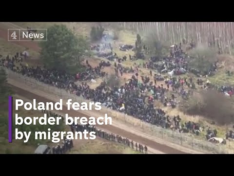 Poland steps up patrols as migrants attempt to cross border with Belarus