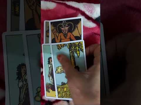 Shatakchi cartomancy Channel is live Free tarot reading