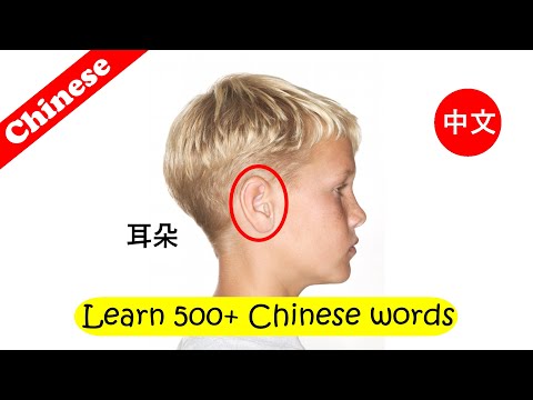 Learn Chinese for kids  [ Day 4.1 ]  Body | Animals | Baby | Food | Stationery | Flashcard Program