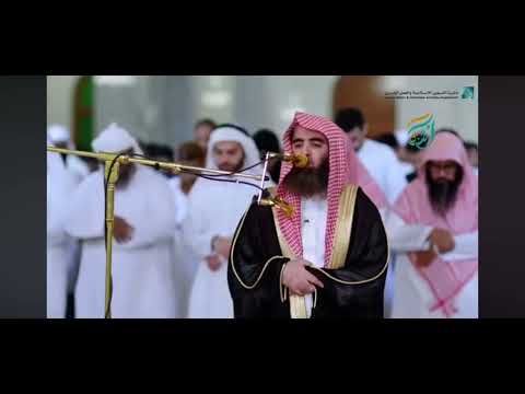 ( الشيخ محمد اللحيدان ) 🩵