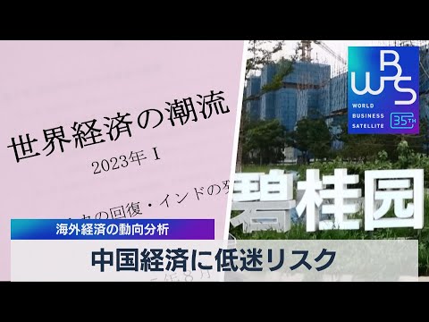 中国経済に低迷リスク　海外経済の動向分析【WBS】（2023年8月14日）