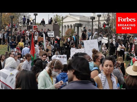 Demonstrators Fill The Streets Of Washington, D.C., Calling For Ceasefire In Israel-Hamas War