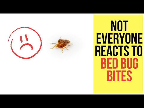 Why Some People Don&rsquo;t Realize They Brought Bed Bugs Home Until It&rsquo;s Too Late