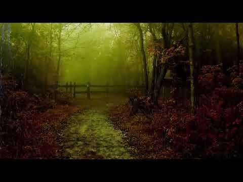 2 Hours Rain &amp; Flute of North Americans. Native American Flute. Most amazing relaxing music &amp; video!