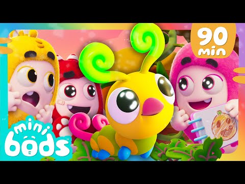 Newt and the Relatively Hungry Caterpillar! 🐛 | 🌈 Minibods 🌈 | Preschool Cartoons for Toddlers