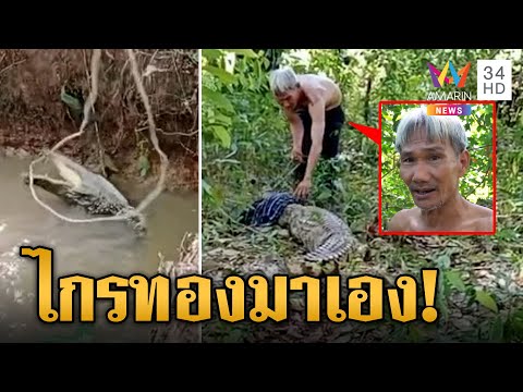 ลุงสวมวิญญาณไกรทอง ใช้เชือกเส้นเดียวจับจระเข้ด้วยมือเปล่า | ข่าวเย็นอมรินทร์ | 1 ธ.ค. 66