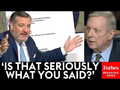 BREAKING NEWS: Ted Cruz Absolutely Explodes At Dick Durbin, Accuses Him Of Calling Him A 'Bigot'