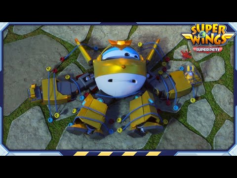 [SUPERWINGS5 Compilation] Golden Boy 4 | Super Pets | Superwings Full Episodes | Super Wings