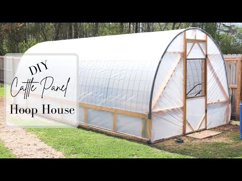 DIY Cattle Panel Hoop House || Build Your Own Cheap &amp; Easy!