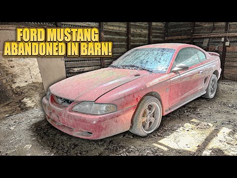 First Wash in 8 Years: ABANDONED Barn Find Ford Mustang! | Car Detailing Restoration