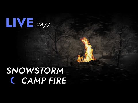 🔴 Campfire in Snowstorm for Sleeping 24/7 - Dimmed Screen | Blizzard Sounds, Deep Sleep - Livestream