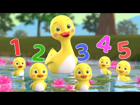 Five Little Ducks | Number Song | Lean Numbers by Beep Beep Nursery Rhymes