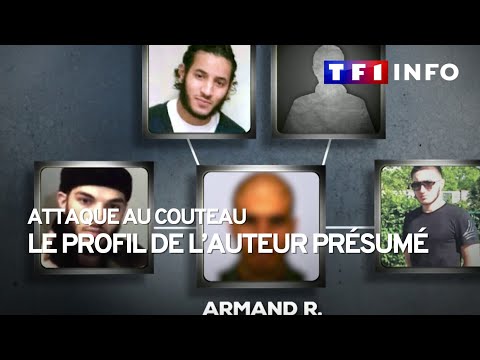 Attaque au couteau et au marteau &agrave; Paris : le profil de l'individu interpell&eacute;