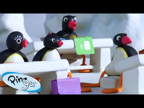 Pingu Goes Back to School 🐧 | Pingu - Official Channel | Cartoons For Kids