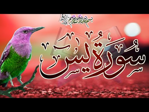 Unlock the Beauty of Surah Yaseen | Ep.00005 | سورۃ یس: A Soul-Stirring Recitation