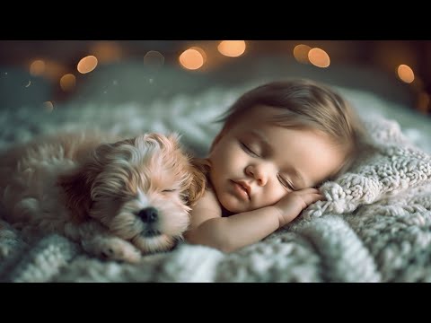 Melodic Dreamland: Soothing Brahms' Lullaby To Nurture Peaceful Baby Sleep | 