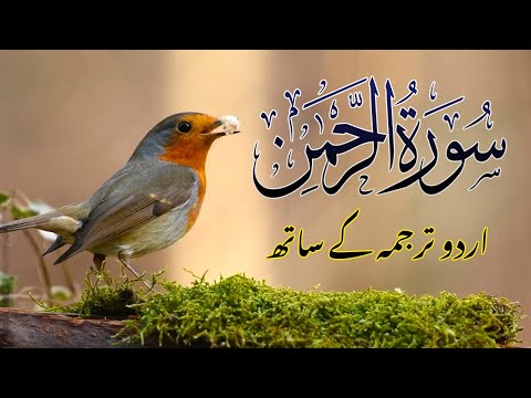 Surah Rahman with Urdu Translation Full | Qari Al Sheikh Abdul Basit Abdul Samad 