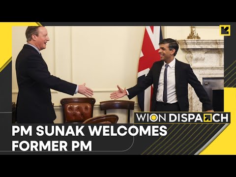 David Cameron to build on past achievements: Rishi Sunak | WION Dispatch