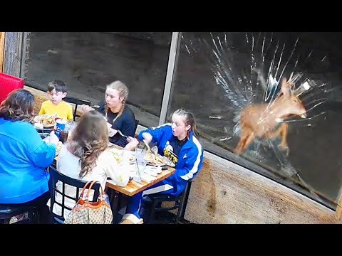 Deer Ruins Family Dinner