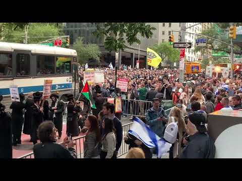 Anti-Zionist sect draws outrage at NYC pro-Israel rally