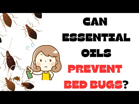 Best essential oils that prevent bed bugs