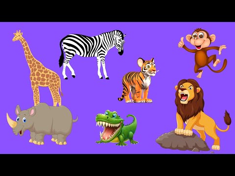 wild animals' names for kids/wild animal sounds /zoo animals/safari Park