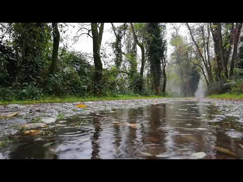 Som de Chuva leve e calma - Som e musica para relaxar, dormir