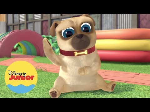 S&iacute;gan al L&iacute;der | A Jugar con Puppy Dog Pals