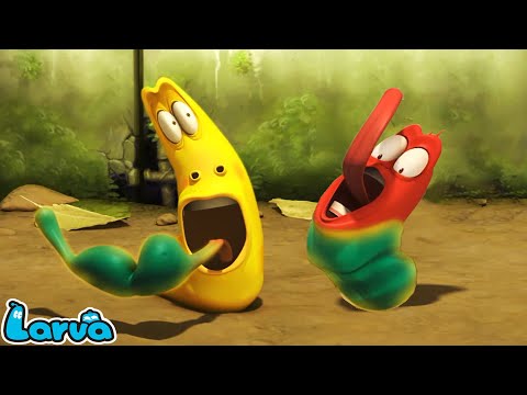 LARVA SEASON 1 EPISODE 168: WHICH LARVA WILL WIN? | HILARIOUS | CARTOON | LARVAKIDS