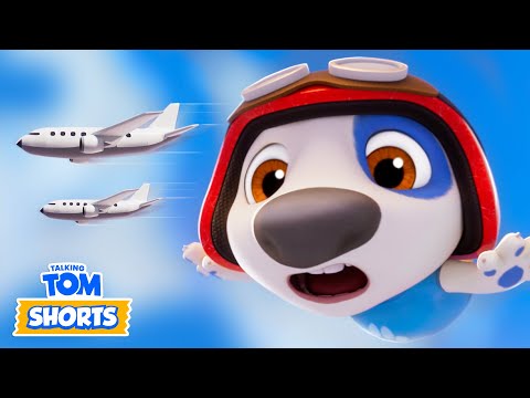 ✈️ Pilot Hank 😳 - Talking Tom Shorts