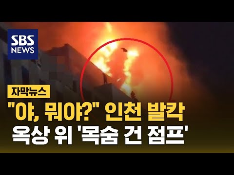 &quot;저 사람 어떡해&quot; 인천 발칵&hellip;90분간 공포 떤 시민들 (자막뉴스) / SBS