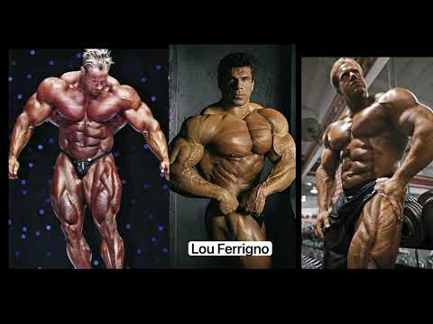 men bodybuilder