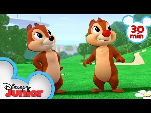 Nutty Tales 30 Minute Compilation! | Chip 'N Dale's Nutty Tales | 