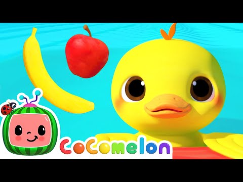 Apples and Bananas + Five Senses Song | Learn &amp; Educational | 