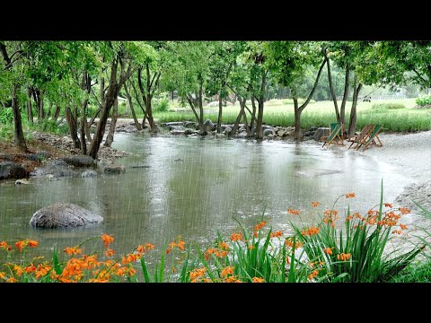 Rain sound falling on the calmly flowing water. Insomnia Relief, Soothing Rain to Relax &amp; Study