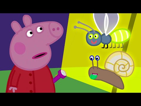 Peppa Pig Learns About Night Animals | Kids TV And Stories