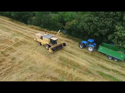 New Holland TX 35 cutting wind blown oats