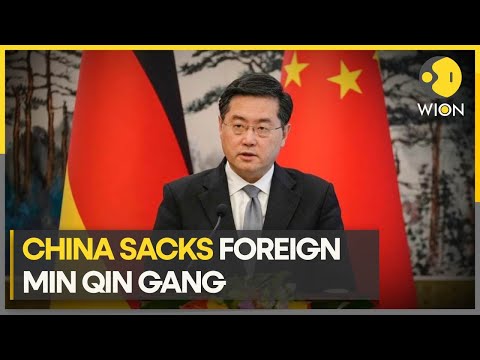 'Missing' Chinese Foreign Minister Qin Gang removed from office | News Alert